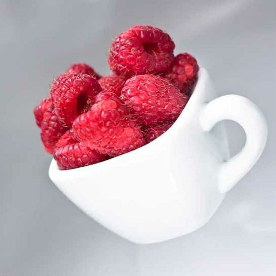 Organic Instant Raspberry Sorbet Powder