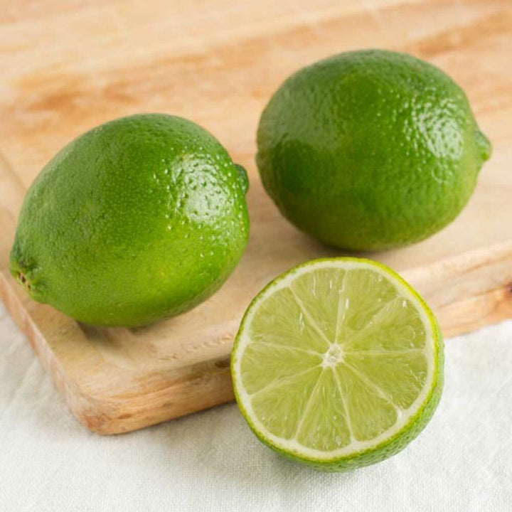 Lime Rickey Flavor Concentrate, Natural