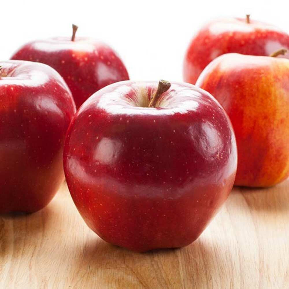 Apple Italian Soda Syrup
