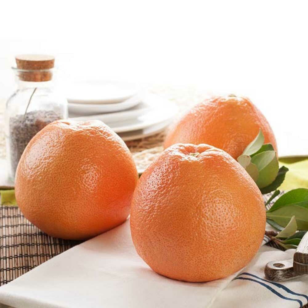 Grapefruit Essential Oil (5X Fold, Florida), Natural