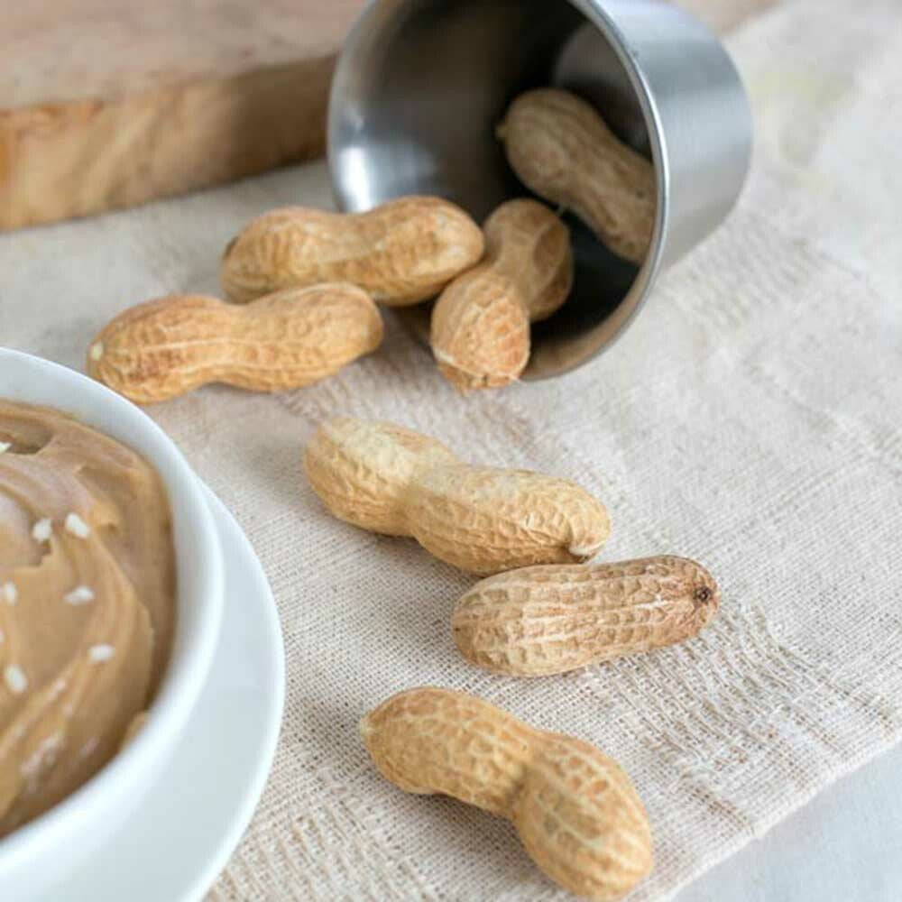 Peanut Super Concentrated Flavor Powder (3X Fold)