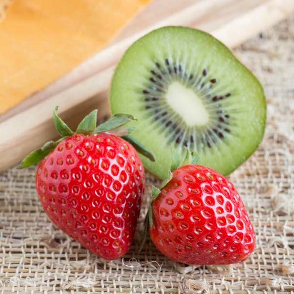 Kiwi Strawberry Sports Drink Flavor Concentrate, Natural