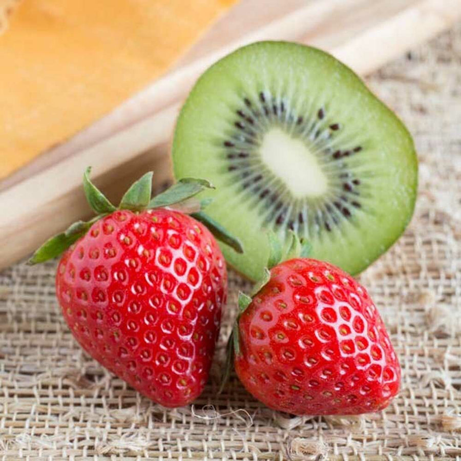Kiwi Strawberry Sports Drink Flavor Concentrate, Natural