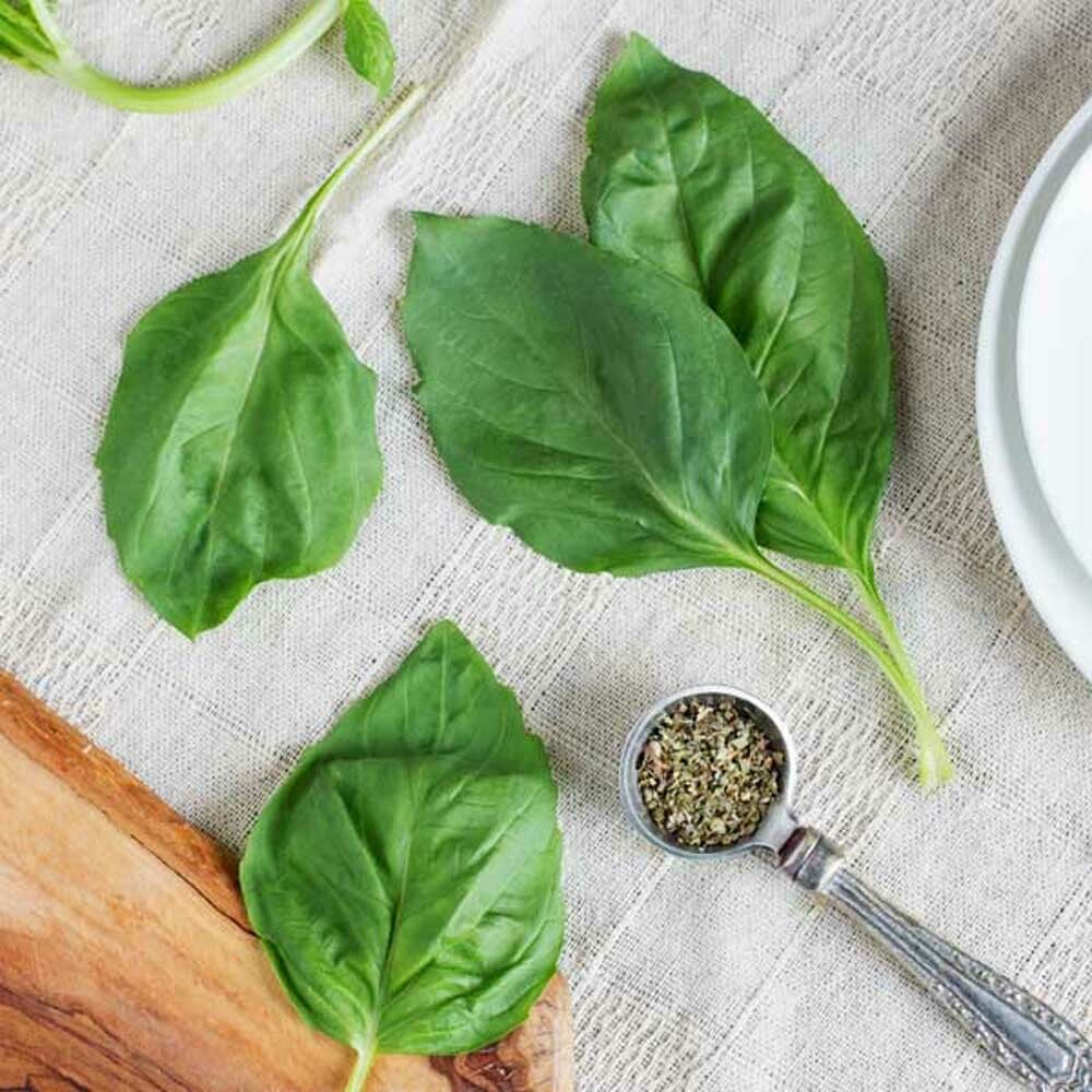 Basil Sugar Free Flavor Powder