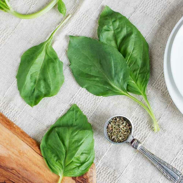Basil Sugar Free Flavor Powder