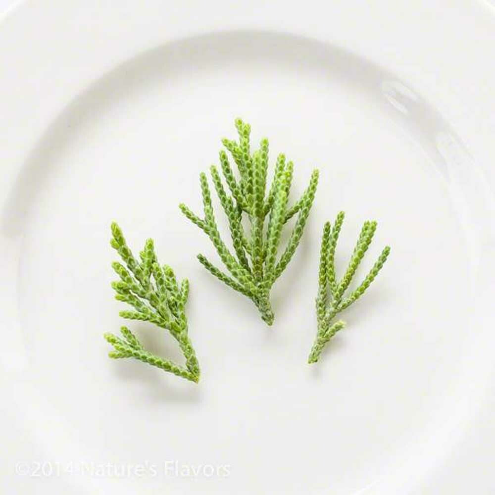 Sante Cedarleaf Essential Oil