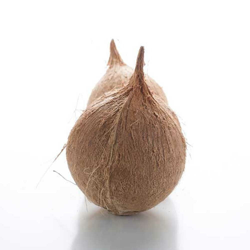 Coconut Fragrance Oil (Oil Soluble)