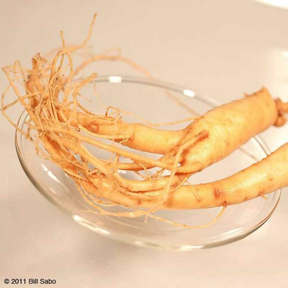 Ginseng Panax Powder Extract