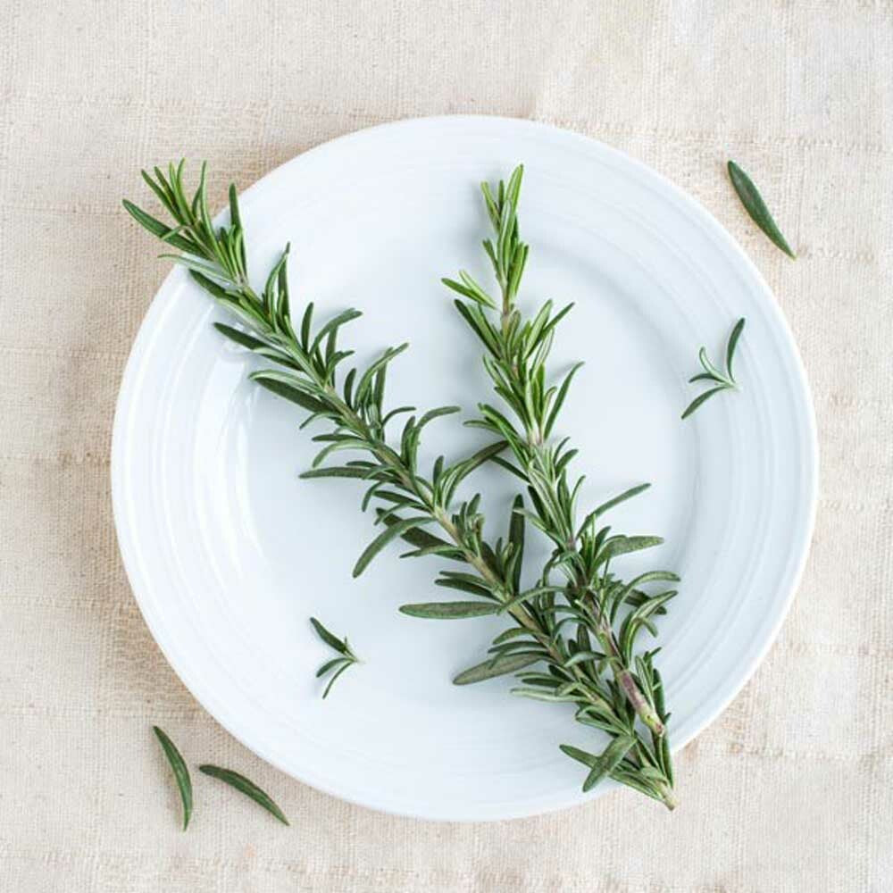 Sugar Free Rosemary Flavor Powder
