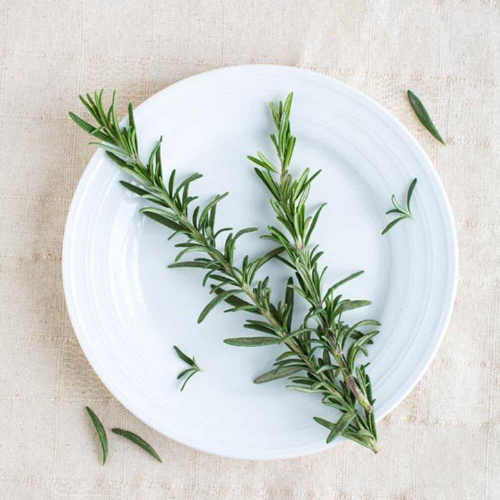Sugar Free Rosemary Flavor Powder