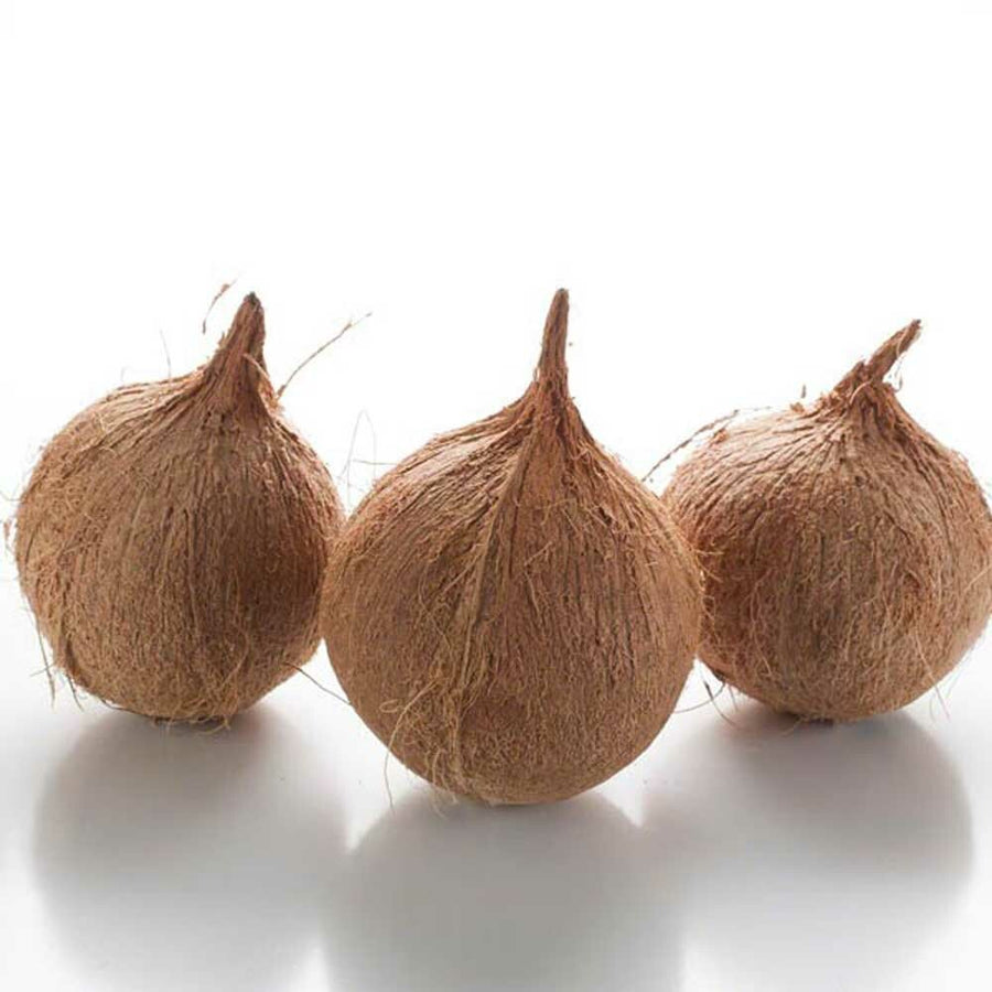 Coconut Smoothie Base