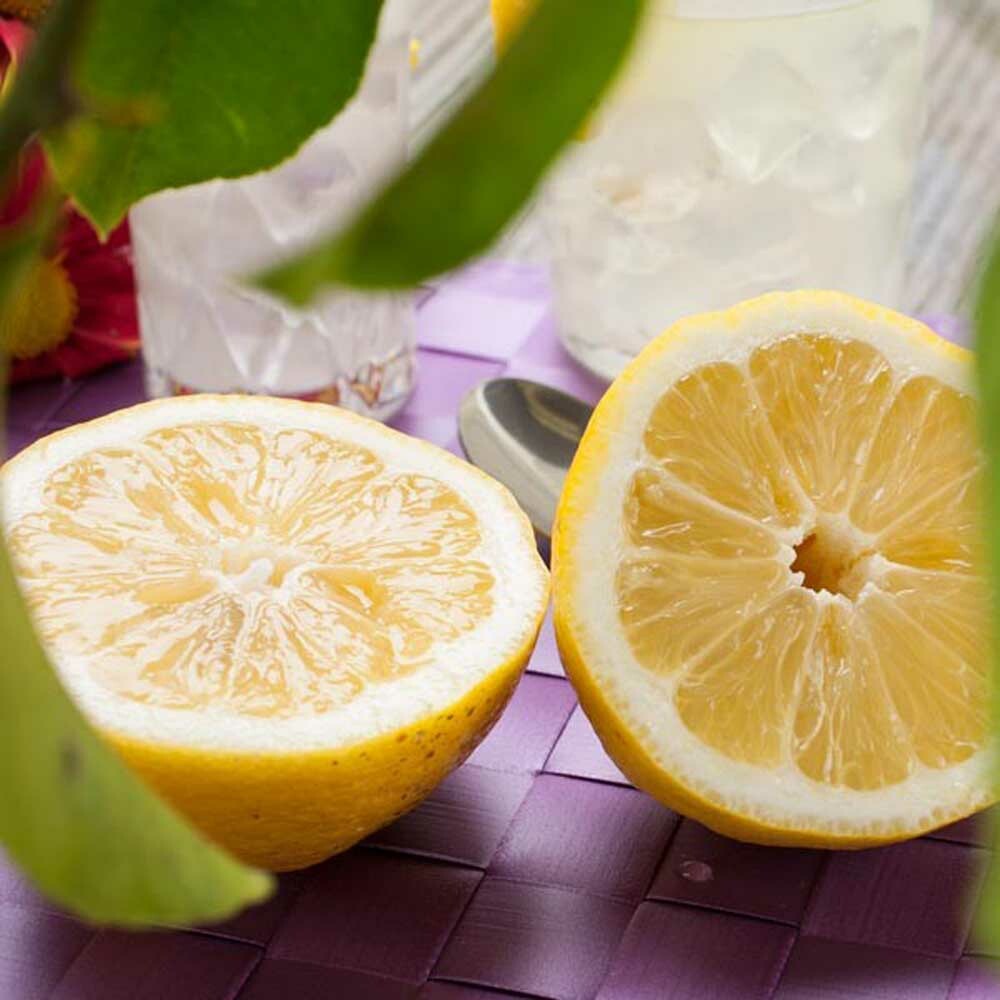 Organic Lemon Verbena Fragrance Emulsion with Floral Notes (Water Soluble)