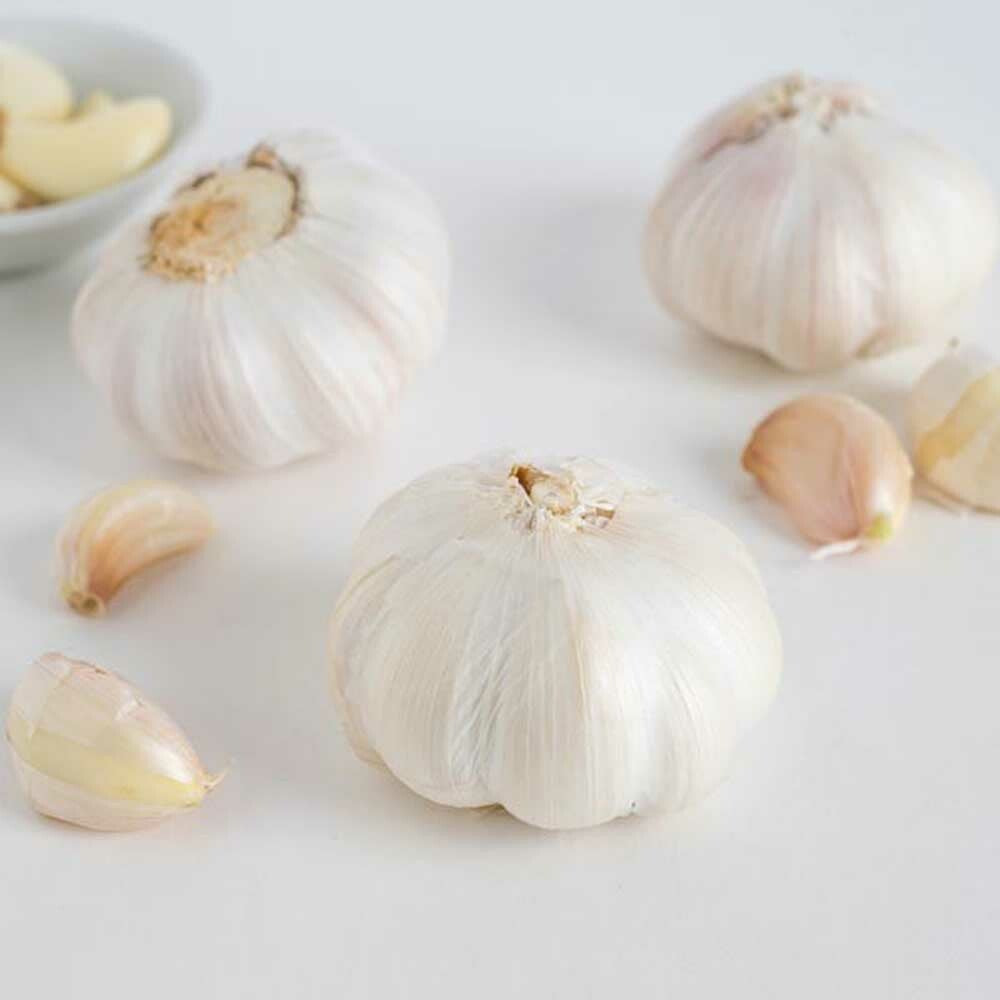 Garlic Sugar Free Flavor Powder