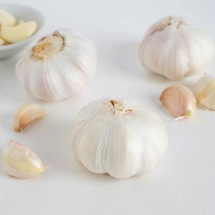 Garlic Sugar Free Flavor Powder