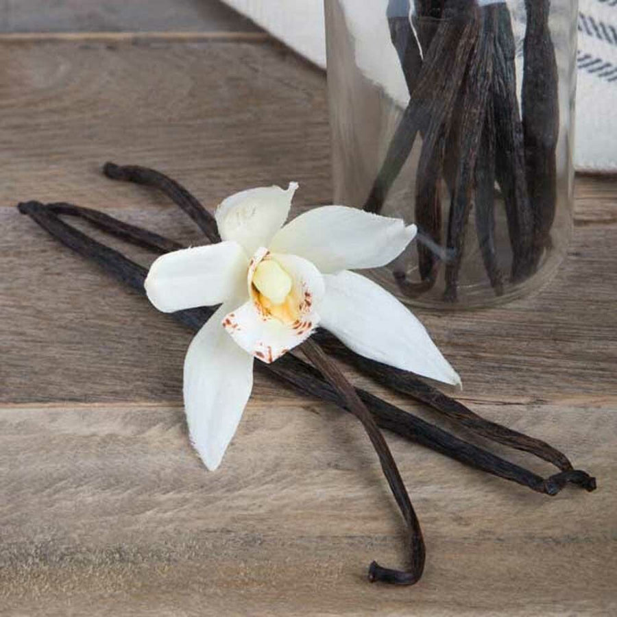 Vanilla Flavor Extract Aged (2x Fold), Organic without Diacetyl