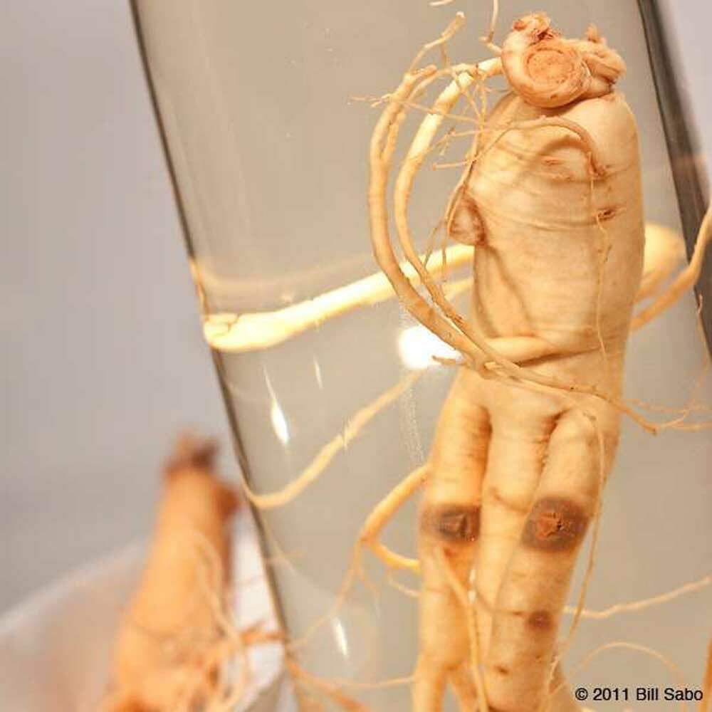 Korean Ginseng Root Extract.