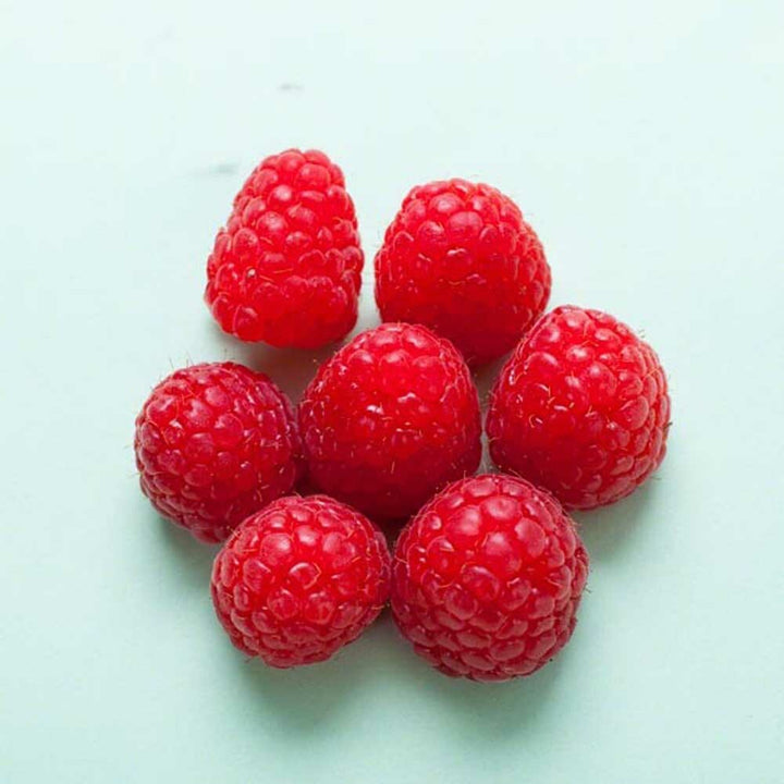 Raspberry Cream Flavor Powder (Sugar-Free), Organic