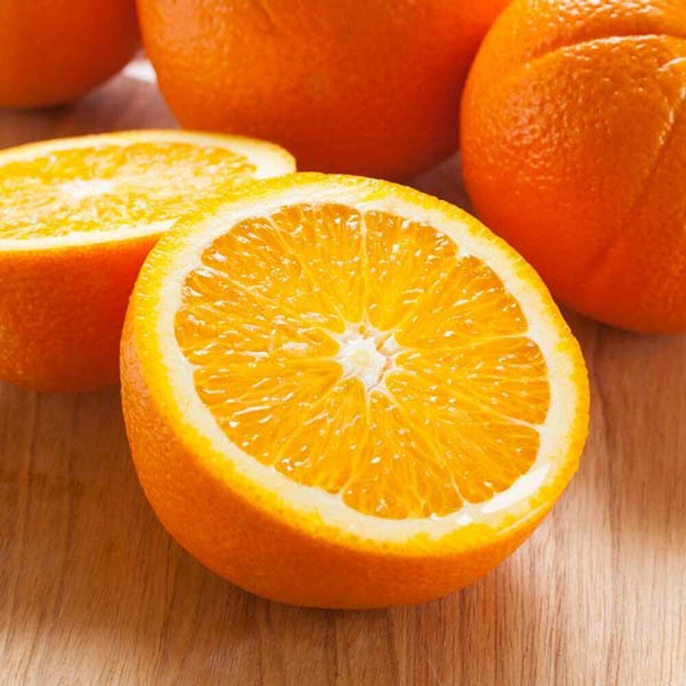 Orange Essential Oil (Florida, Valencia, Cold Pressed), Organic