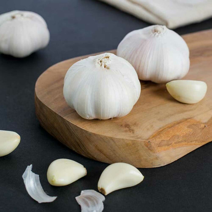 Garlic Flavor Powder (Sugar-Free), Organic