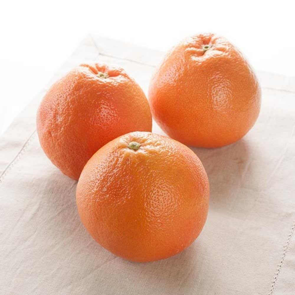 Grapefruit (Florida Cold Pressed) Essential Oil, Organic