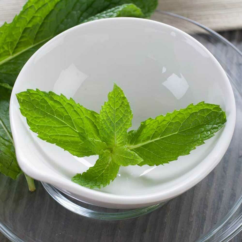 Spearmint Fragrance Oil (Oil Soluble), Organic
