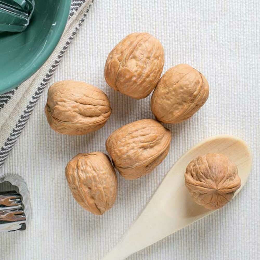 Walnut Flavor Concentrate Without Diacetyl