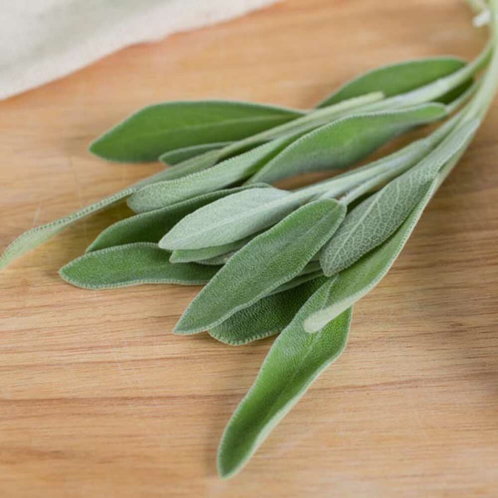 Sugar Free Sage Flavor Powder