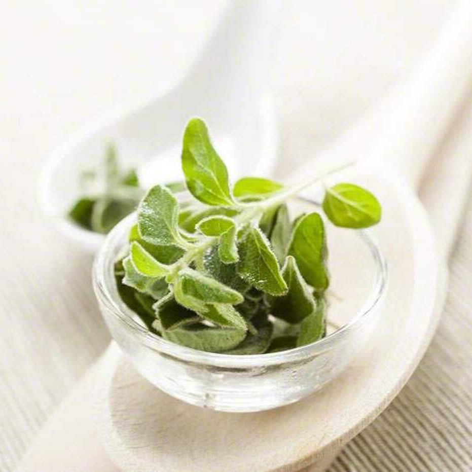 Sante Oregano Essential Oil