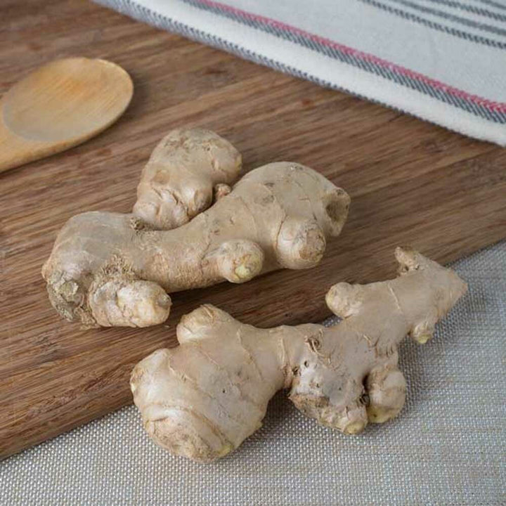 Ginger Flavor Powder (Sugar-Free), Organic