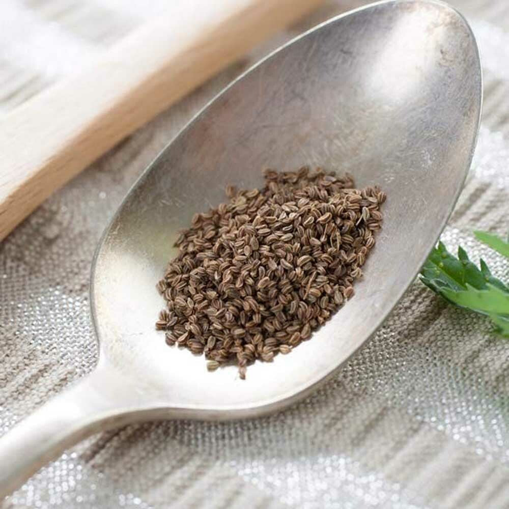 Celery Seed Essential Oil, Natural