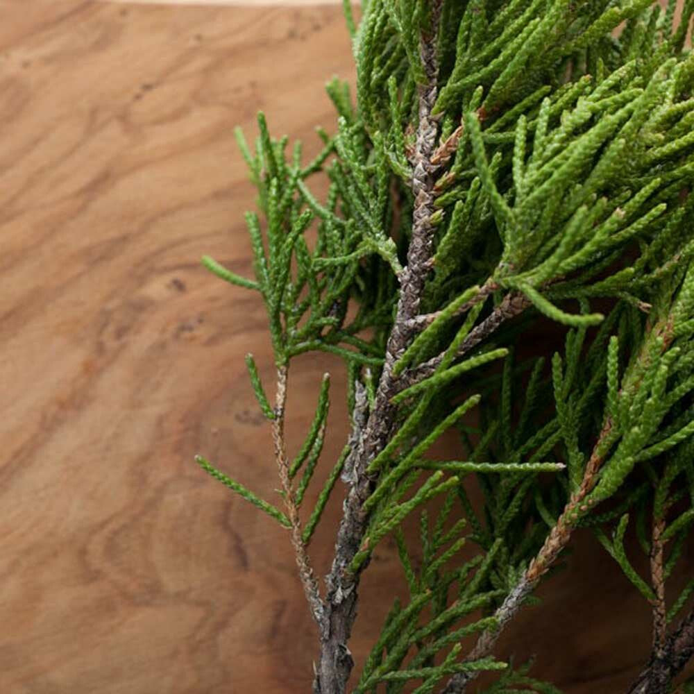 Organic Cedarwood Fragrance Emulsion (Water Soluble)