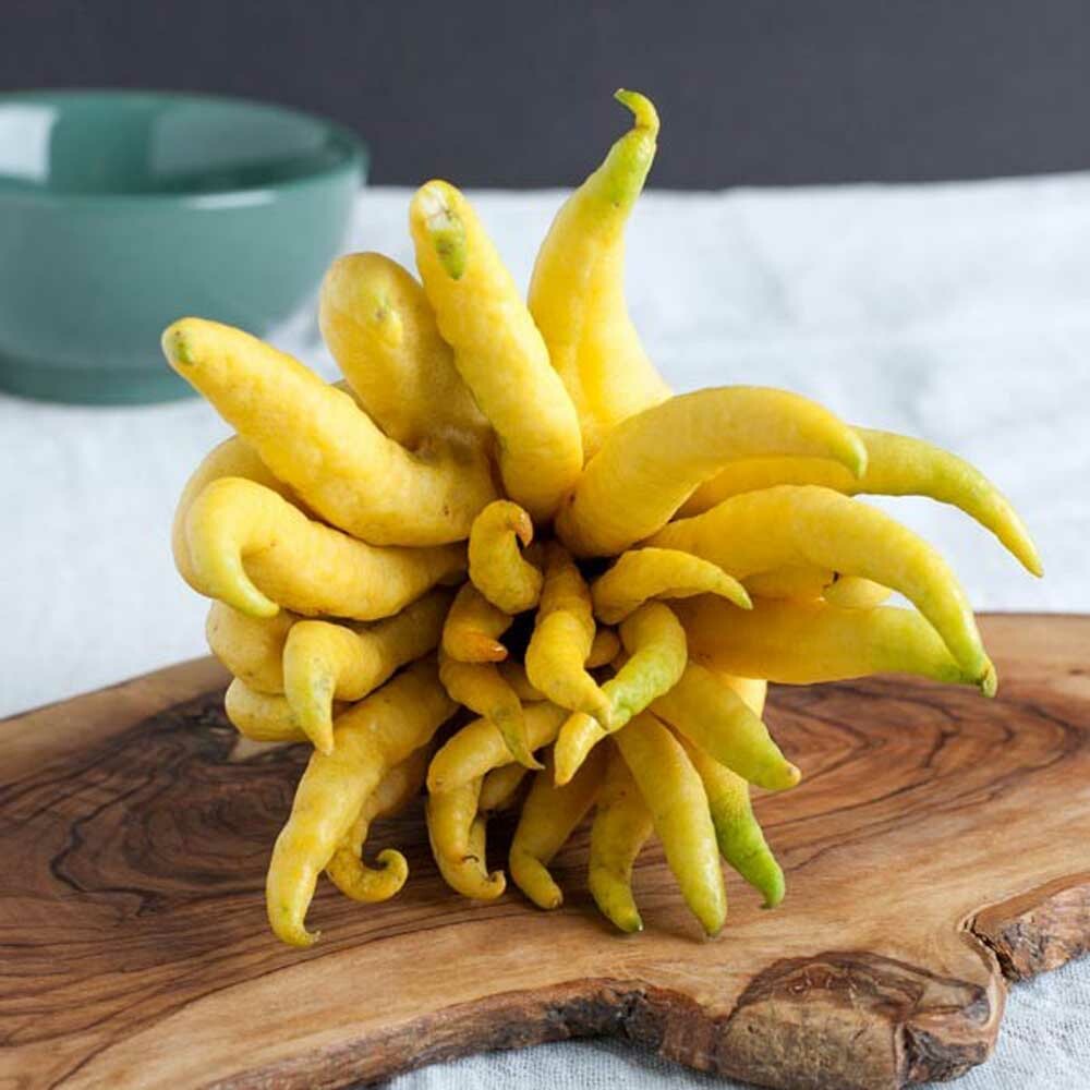 Citron Cotton Candy (Ready to Eat)