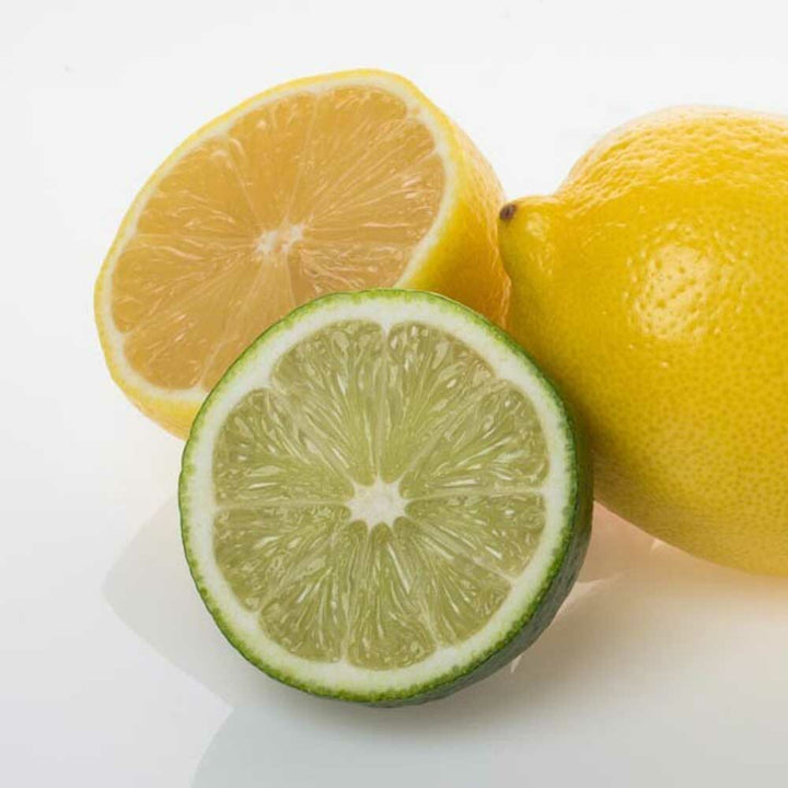 Lemon Lime Sugar Free Flavor Powder (Top Notes)