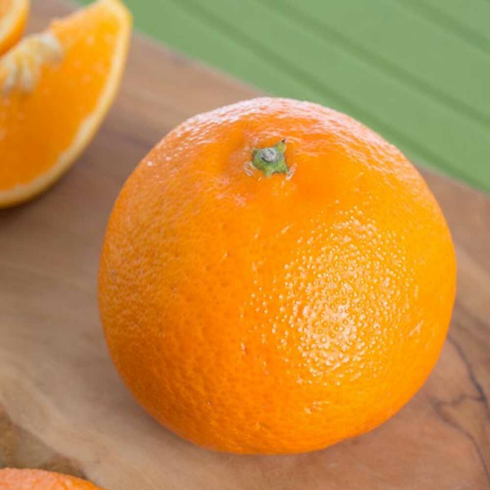 Organic Tangerine Flavor Concentrate Without Diacetyl