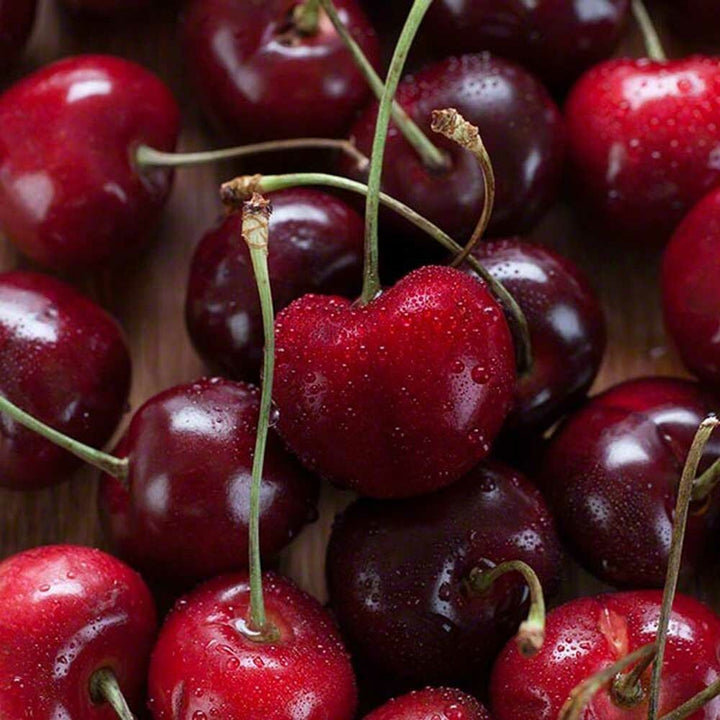 Black Cherry Flavor Extract - TTB Approved, Natural