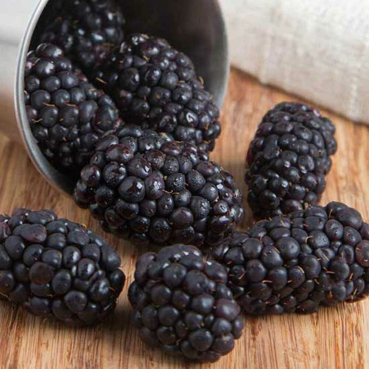 Organic Black Raspberry Flavor Extract Without Diacetyl