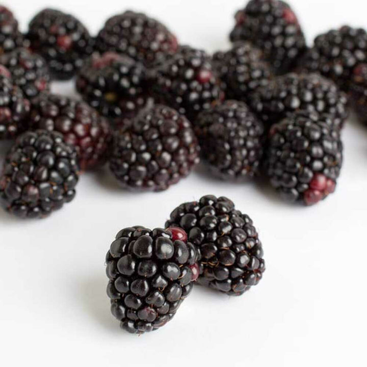Black Raspberry Fragrance Oil (Oil Soluble), Organic