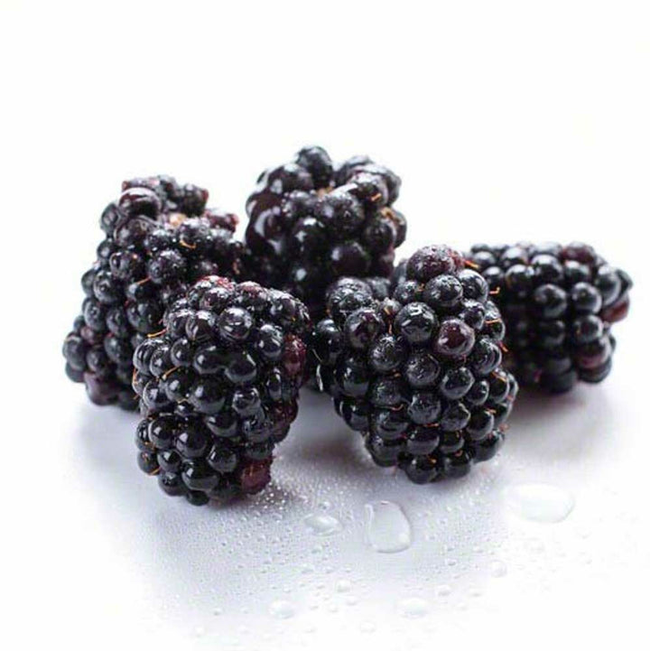Blackberry Coffee Syrup, Organic