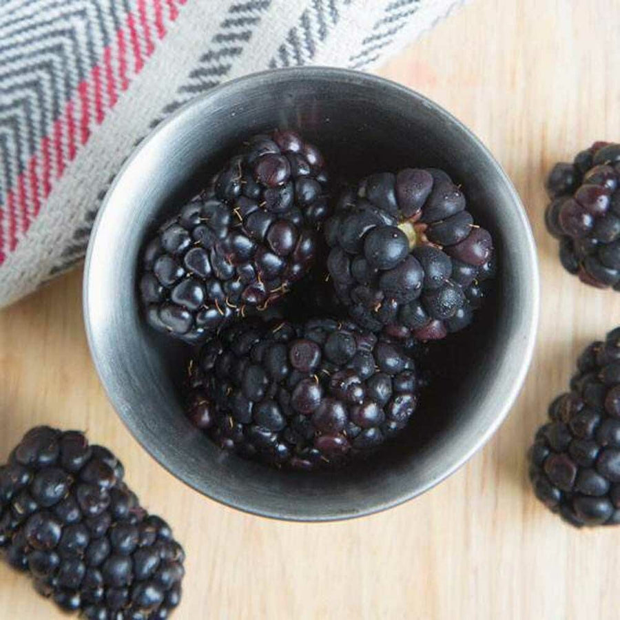 Blackberry Italian Soda Syrup, Natural