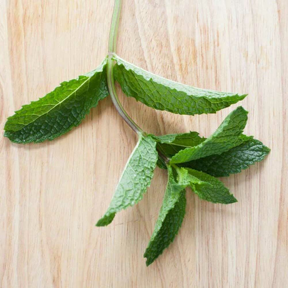 Blue Mint Flavor Syrup, Natural