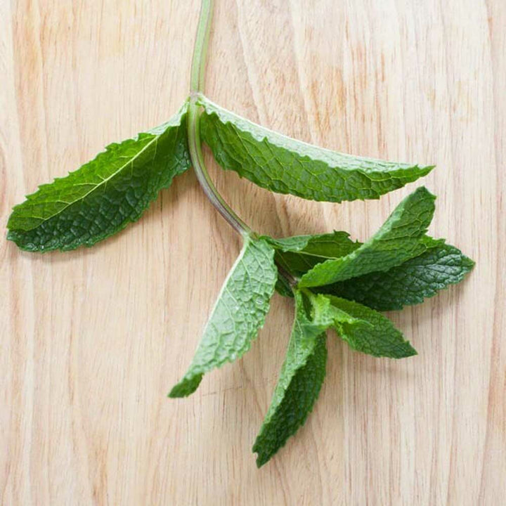 Blue Mint Flavor Syrup, Natural