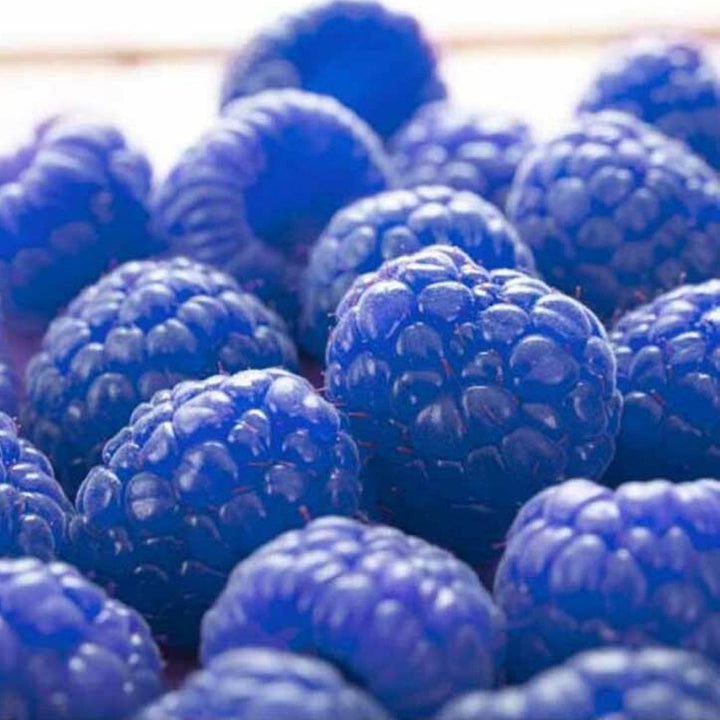 Blue Raspberry Flavor Emulsion, Organic
