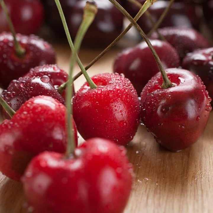 Bordeaux Cherry Flavor Concentrate, Natural