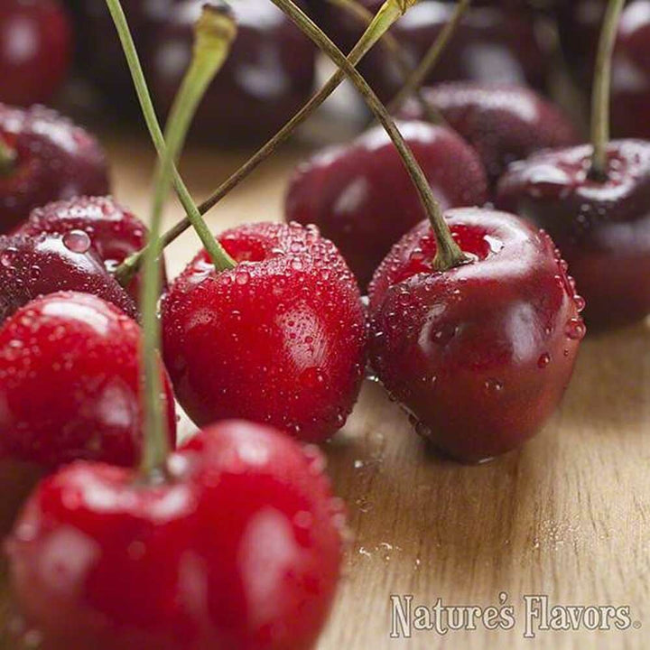 Bordeaux Cherry Flavor Concentrate, Organic