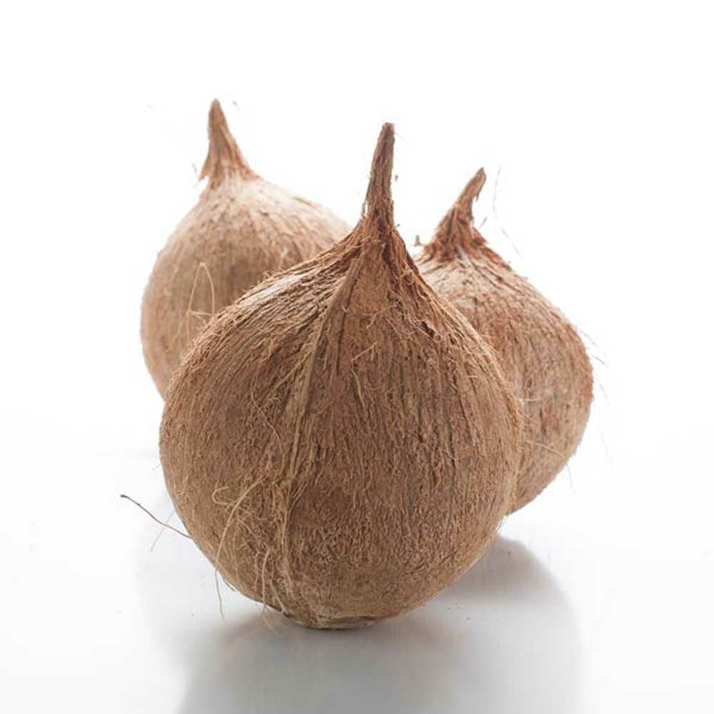 Caribbean Coconut Fragrance Oil (Oil Soluble), Organic