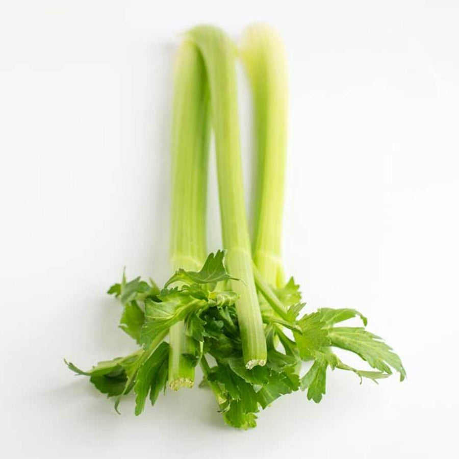 Celery Flavor Extract, Natural