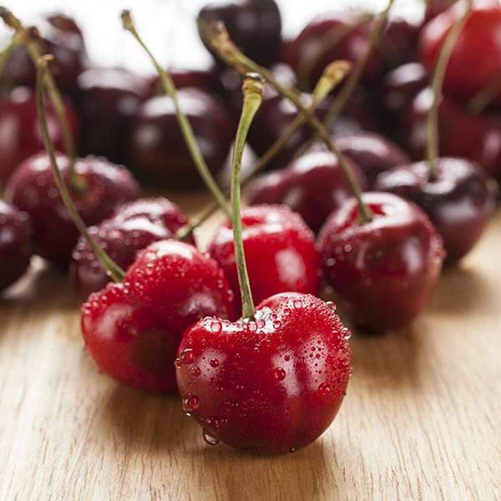 Cherry Flavor Concentrate for Beverages, Organic