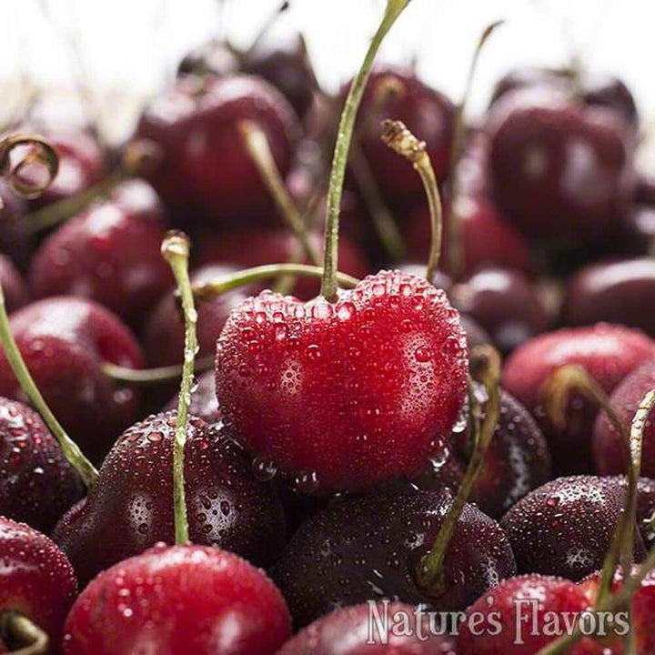 Cherry Flavor Concentrate (Mid Summer), Organic