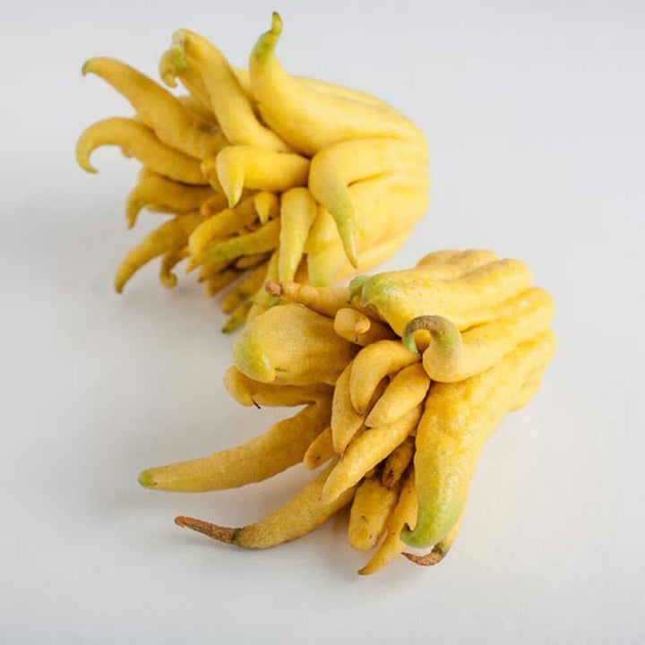 Citron Coffee and Tea Flavoring - Without Diacetyl