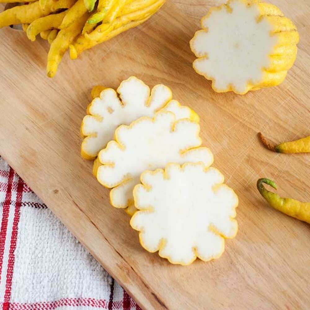 Organic Citron Flavor Concentrate Without Diacetyl